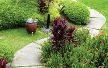 Having your dream home means you want to present it at its very best. This means considering your garden too. If you'd like your guests to approach beneath a walkway of roses, or on a pathway paved in gold, or even perhaps across your very own moat, this can be worked into your plans.